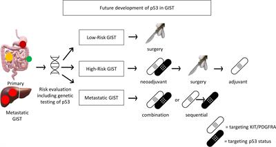 p53 as a biomarker and potential target in gastrointestinal stromal tumors